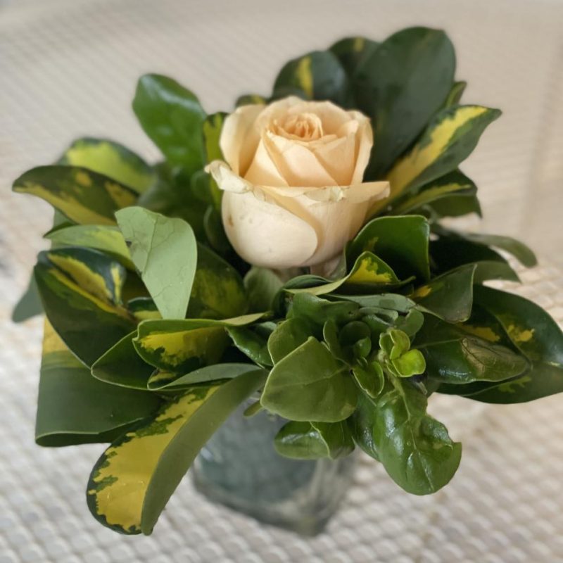 Elegant Single Rose