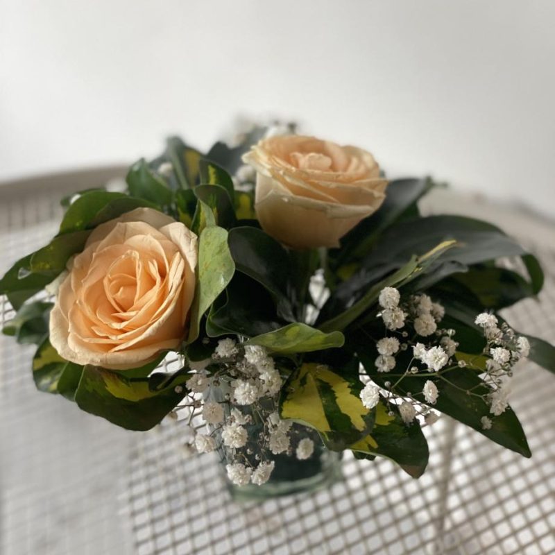 Charming Duo of Roses