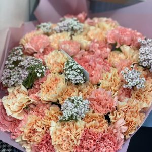 Peach and Cream Carnation